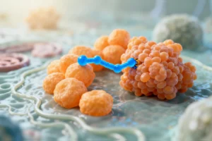 Engineered Peptide Shows Promise in Halting Parkinson's Protein Clumping in Early Research - Professional coverage