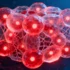 Lab-Grown Hematoids: The Future of On-Demand Blood Production