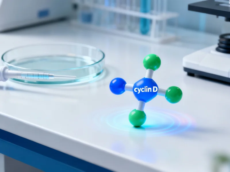 Circle Pharma to Present Cyclin D1 RxL Inhibition Data Showing Anti-Tumor Potential at Major Cancer - Professional coverage