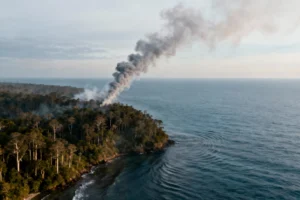 Global Carbon Emissions Hit Record High in 2024: WMO Report Analysis - Professional coverage