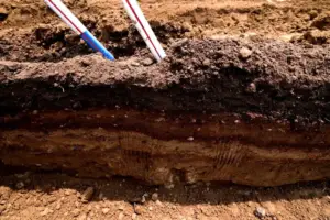 Hyperscale Data Centers Triple Since 2018, Fueled by AI Craze - Professional coverage