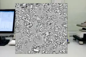 India's $505M Bet on a State-Run Chip Fab is a Huge Gamble - Professional coverage